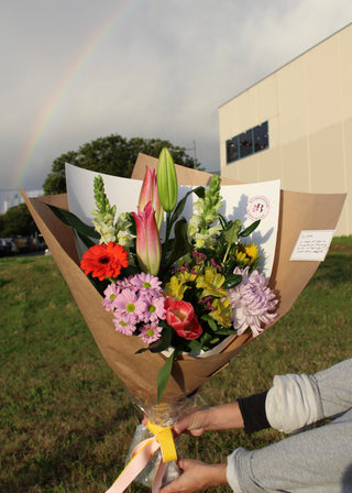 Over the rainbow